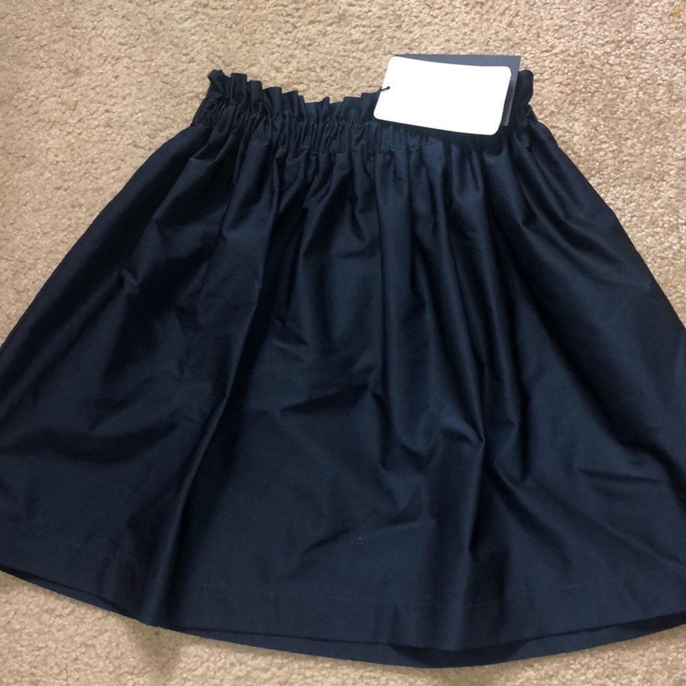Navy blue Zara Skirt